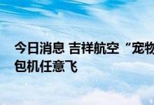 今日消息 吉祥航空“宠物畅飞卡”上市 全年往返10次宠物包机任意飞