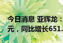 今日消息 亚辉龙：上半年实现净利润6.66亿元，同比增长651.7%