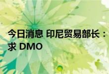 今日消息 印尼贸易部长：考虑取消棕榈油出口的国内销售要求 DMO