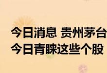 今日消息 贵州茅台获11家机构集中看好 机构今日青睐这些个股