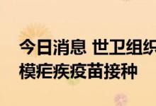 今日消息 世卫组织称将在非洲大陆开展大规模疟疾疫苗接种