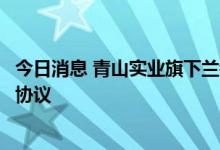 今日消息 青山实业旗下兰钧新能源与科陆储能签订战略合作协议