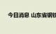 今日消息 山东省钢铁行业协会成立在即