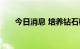 今日消息 培养钻石概念板块异动拉升