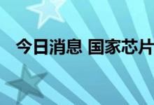 今日消息 国家芯片大基金总裁丁文武被查