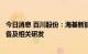 今日消息 百川股份：海基新能源有对钠离子电池进行技术储备及相关研发