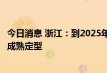 今日消息 浙江：到2025年数字政府“系统+跑道”体系架构成熟定型