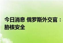 今日消息 俄罗斯外交官：乌克兰攻击扎波罗热核电站意图威胁核安全