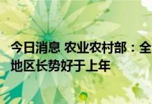 今日消息 农业农村部：全国秋粮进入产量形成关键期大部分地区长势好于上年