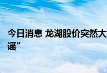 今日消息 龙湖股价突然大跌，知情人士：“商票逾期纯属造谣”