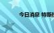 今日消息 特斯拉盘前涨超1%