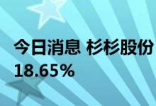 今日消息 杉杉股份：上半年净利润同比增长118.65%