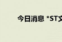 今日消息 *ST文化：公司临时停工