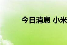 今日消息 小米概念板块开盘活跃