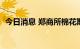 今日消息 郑商所棉花期货主力合约大涨4%