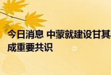 今日消息 中蒙就建设甘其毛都—嘎舒苏海图口岸跨境铁路达成重要共识