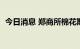 今日消息 郑商所棉花期货主力合约大跌5%