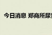 今日消息 郑商所尿素期货主力合约大跌4%