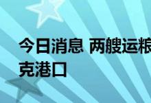 今日消息 两艘运粮船离开乌南部切尔诺莫斯克港口