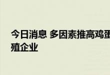 今日消息 多因素推高鸡蛋期现货价格 利好产业链一体化养殖企业