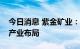 今日消息 紫金矿业：控股龙净环保有助完善产业布局