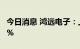 今日消息 鸿远电子：上半年净利同比增长6.9%