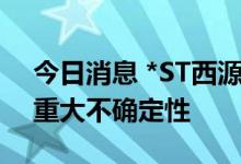 今日消息 *ST西源：公司持续经营能力存在重大不确定性