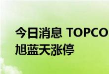 今日消息 TOPCON电池概念股震荡走强 东旭蓝天涨停