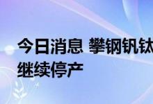 今日消息 攀钢钒钛：受限电影响 控股子公司继续停产