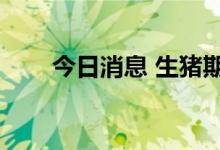 今日消息 生猪期货主力合约跌超3%