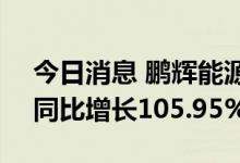 今日消息 鹏辉能源：上半年净利2.44亿元，同比增长105.95%