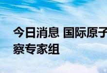 今日消息 国际原子能机构已组建赴核电站考察专家组