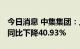 今日消息 中集集团：上半年净利25.38亿元，同比下降40.93%