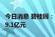 今日消息 碧桂园：上半年净利润约为人民币19.1亿元