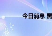 今日消息 黑芝麻上演地天板