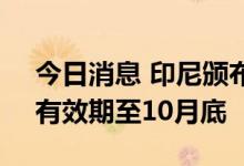 今日消息 印尼颁布豁免棕榈油征税的规定，有效期至10月底