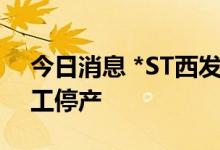 今日消息 *ST西发：子公司拉萨啤酒继续停工停产