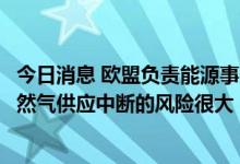 今日消息 欧盟负责能源事务的副总干事：欧盟认为俄罗斯天然气供应中断的风险很大