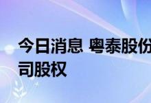 今日消息 粤泰股份：拟2.06亿元出售两子公司股权