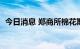 今日消息 郑商所棉花期货主力合约大跌4%