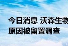 今日消息 沃森生物：董事会秘书张荔因个人原因被留置调查