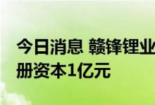 今日消息 赣锋锂业于上饶新设全资子公司 注册资本1亿元