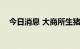 今日消息 大商所生猪期货主力合约涨2%