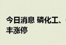 今日消息 磷化工、化肥板块持续拉升  四川美丰涨停