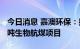 今日消息 嘉澳环保：拟40亿元投建年产50万吨生物航煤项目