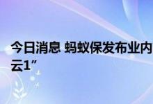 今日消息 蚂蚁保发布业内首个保险公司数字化经营平台“星云1”