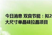 今日消息 双良节能：拟20亿元设立孙公司投资建设50GW大尺寸单晶硅拉晶项目