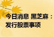 今日消息 黑芝麻：终止公司2021年度非公开发行股票事项