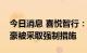 今日消息 喜悦智行：实控人之一、董事罗胤豪被采取强制措施