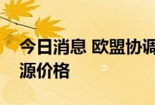 今日消息 欧盟协调能源政策立场以应对高能源价格